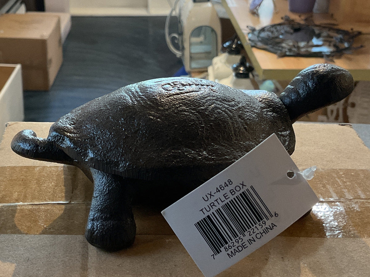 Turtle box with curly tail