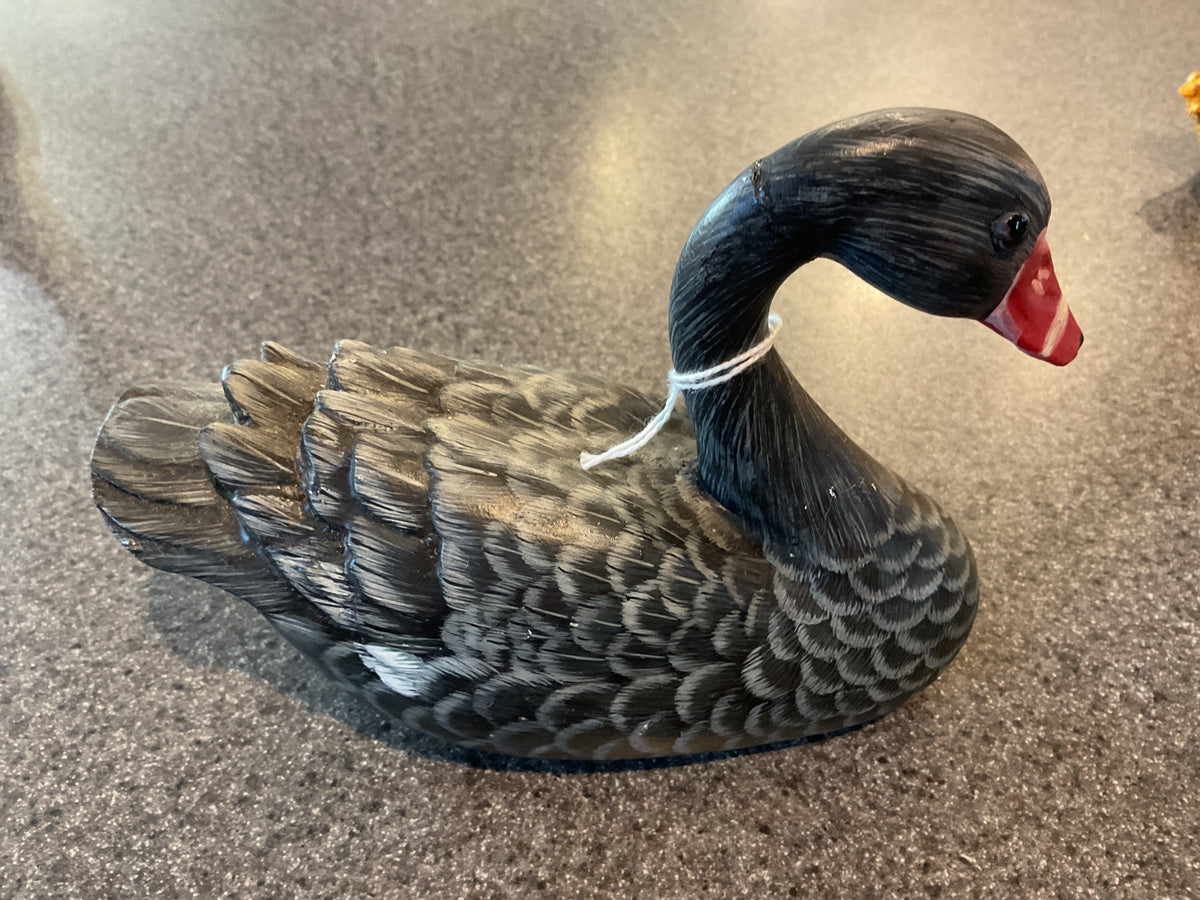 D256 Grey Duck