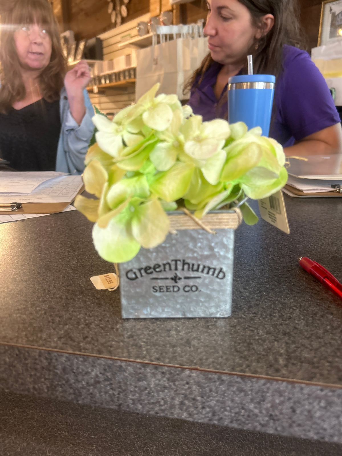 Green Thumb White Flowers