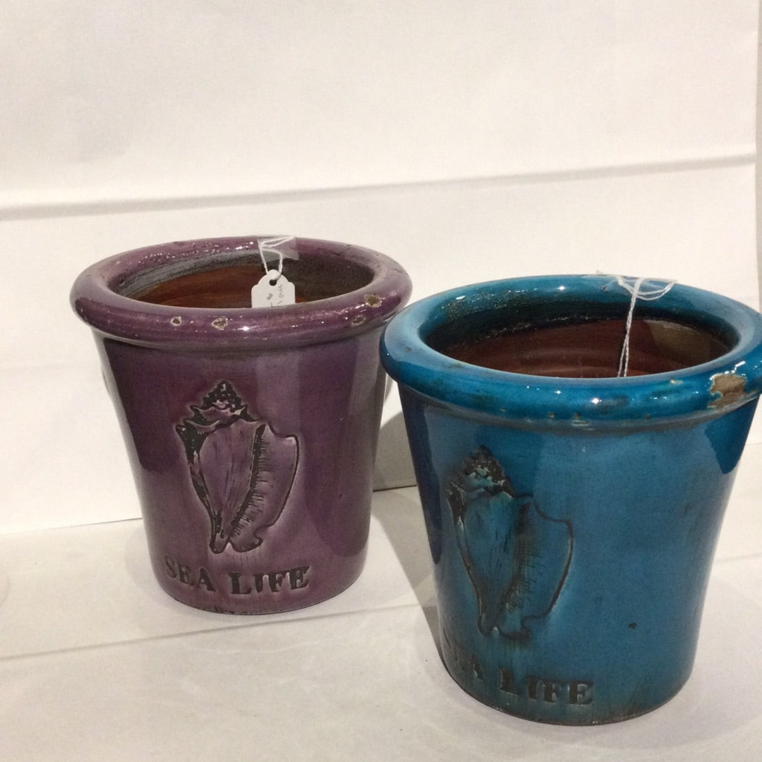 Sea Life Plant Holder