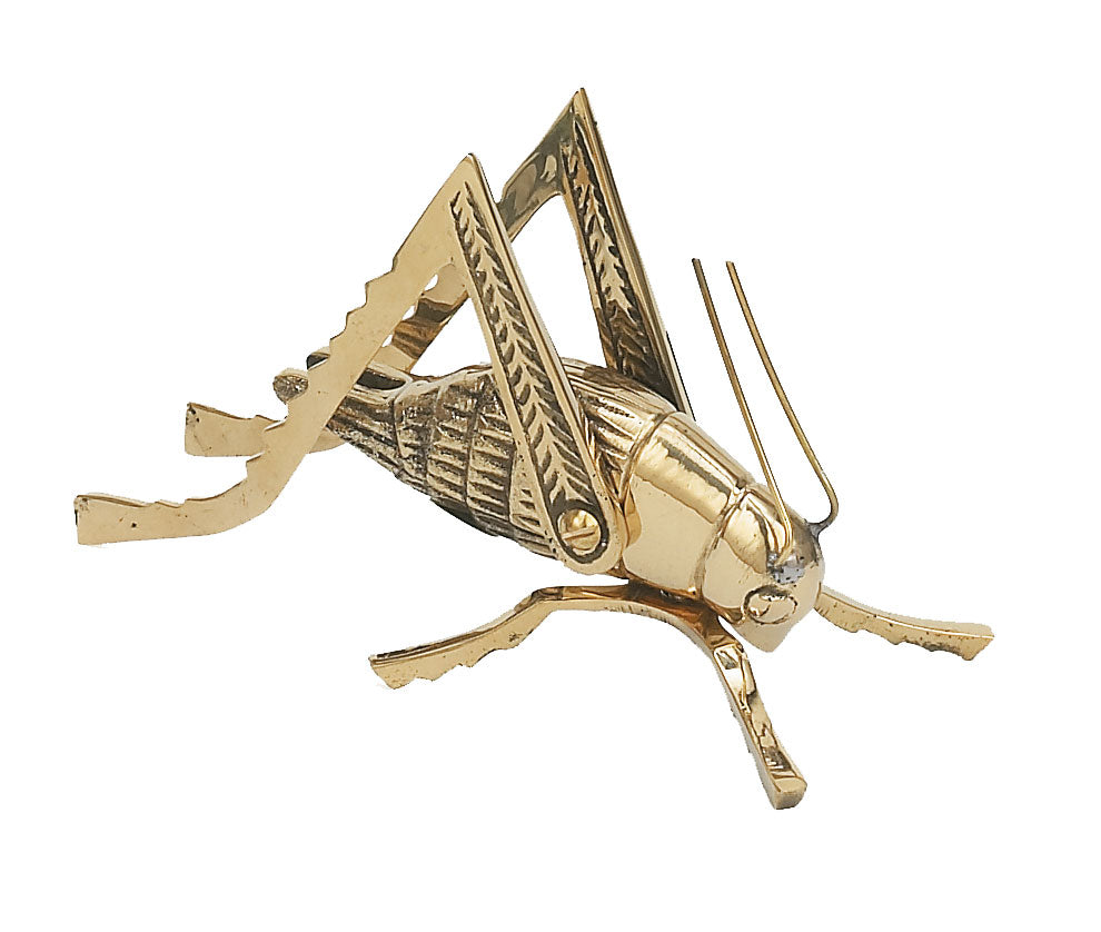 Medium Cricket - Brass