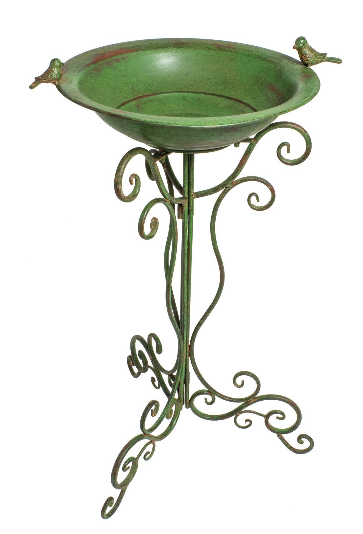 Bird Bath