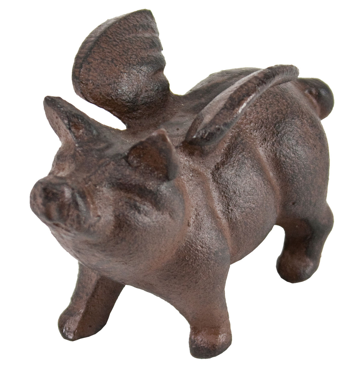 Flying Pig