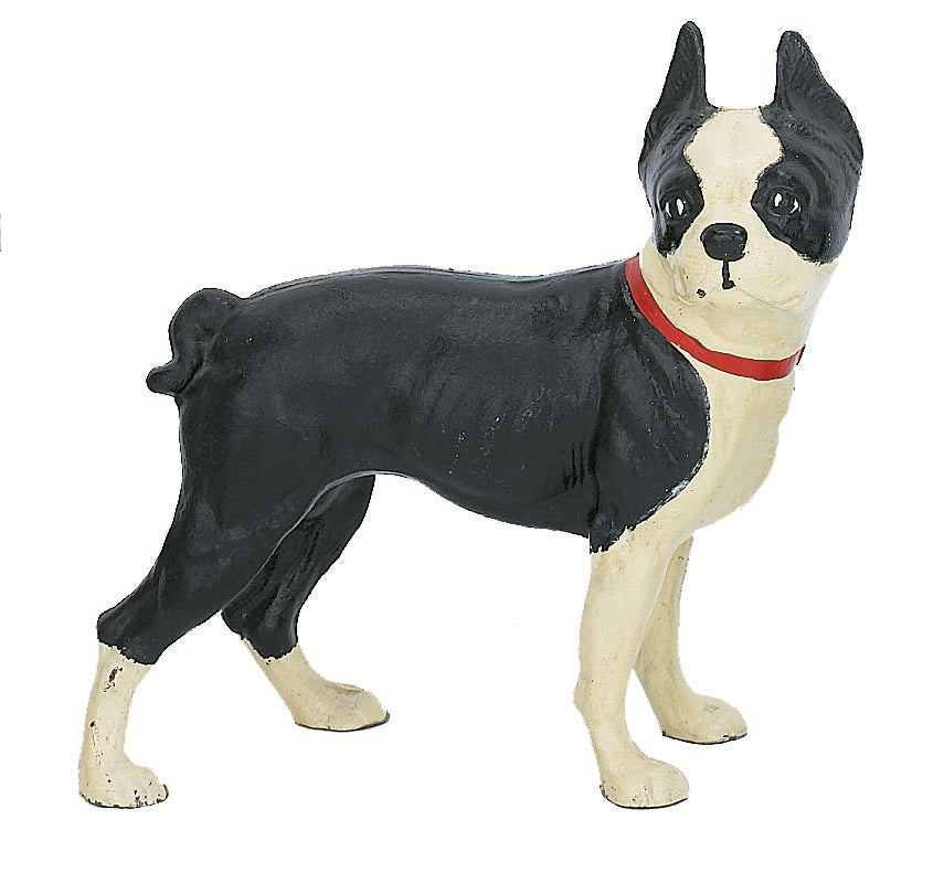 Boston Terrier painted