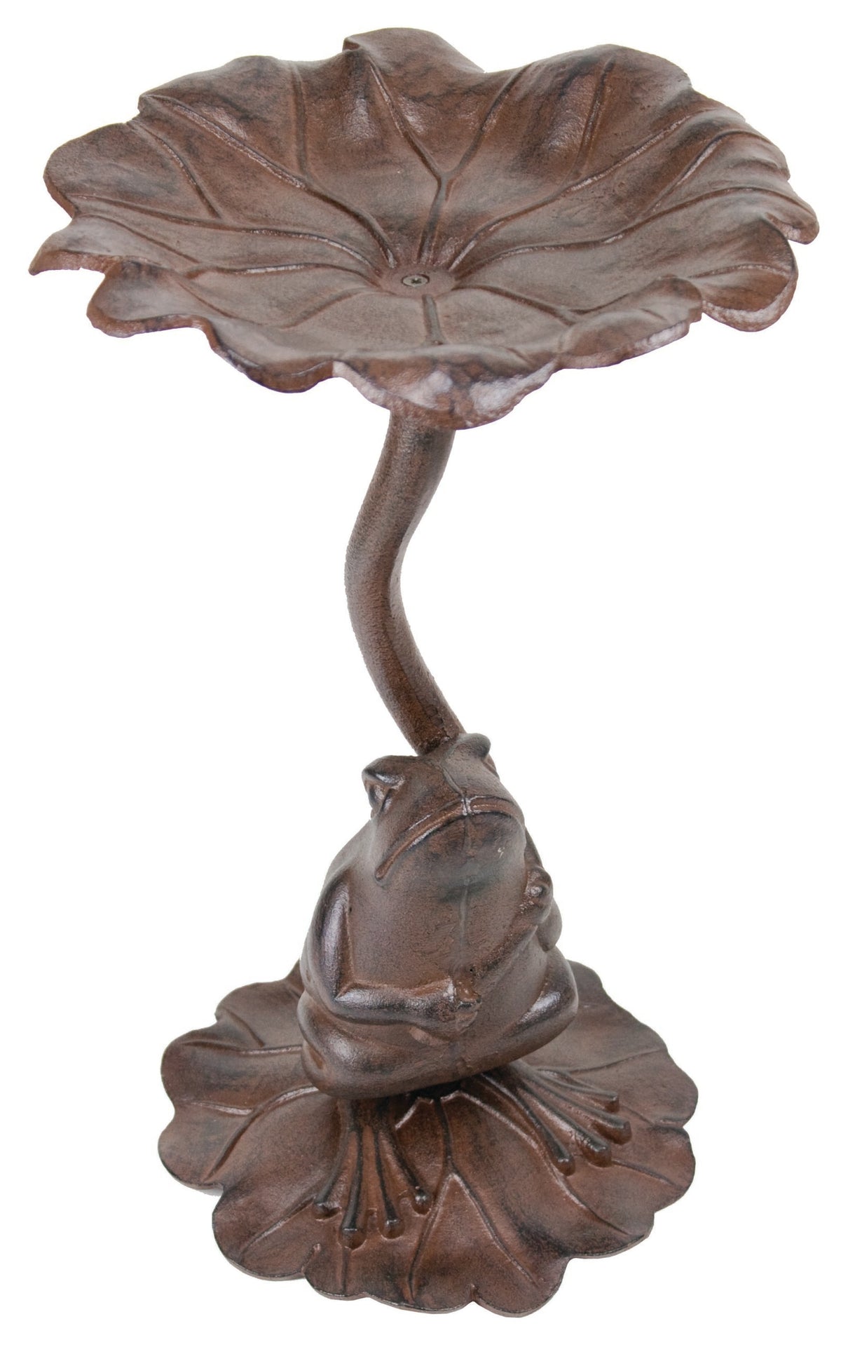 Frog Bird Bath