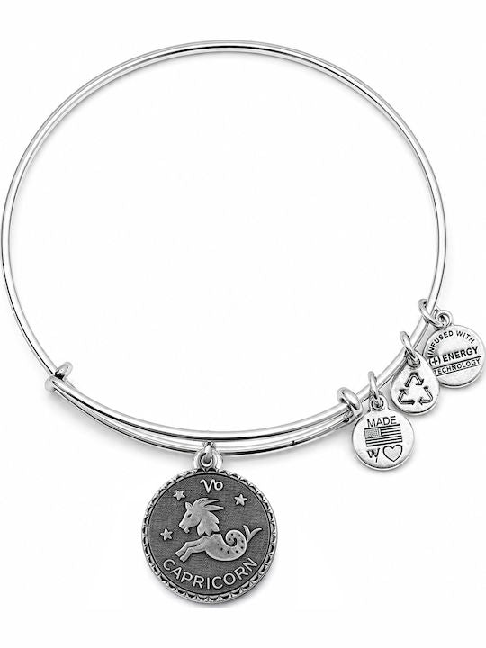 Capricorn Zodiac Charm Bangle Bracelet