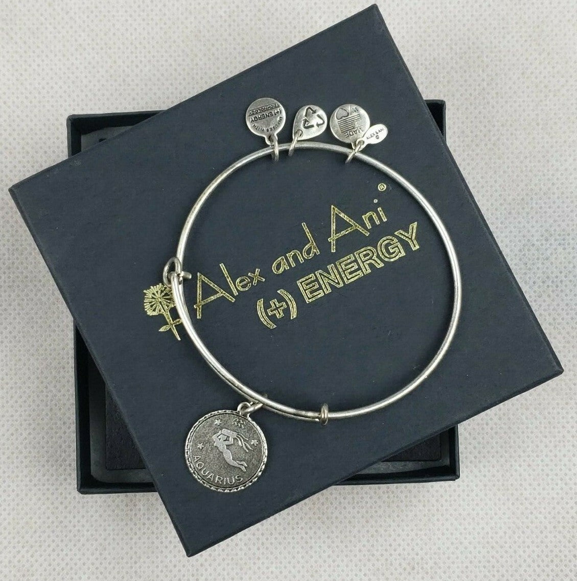 Aquarius Zodiac Charm Bangle Bracelet