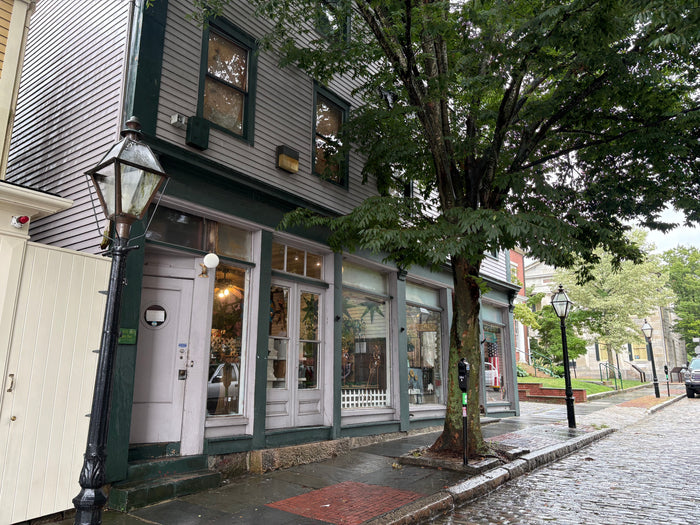 Rainy Cobblestones on William Street