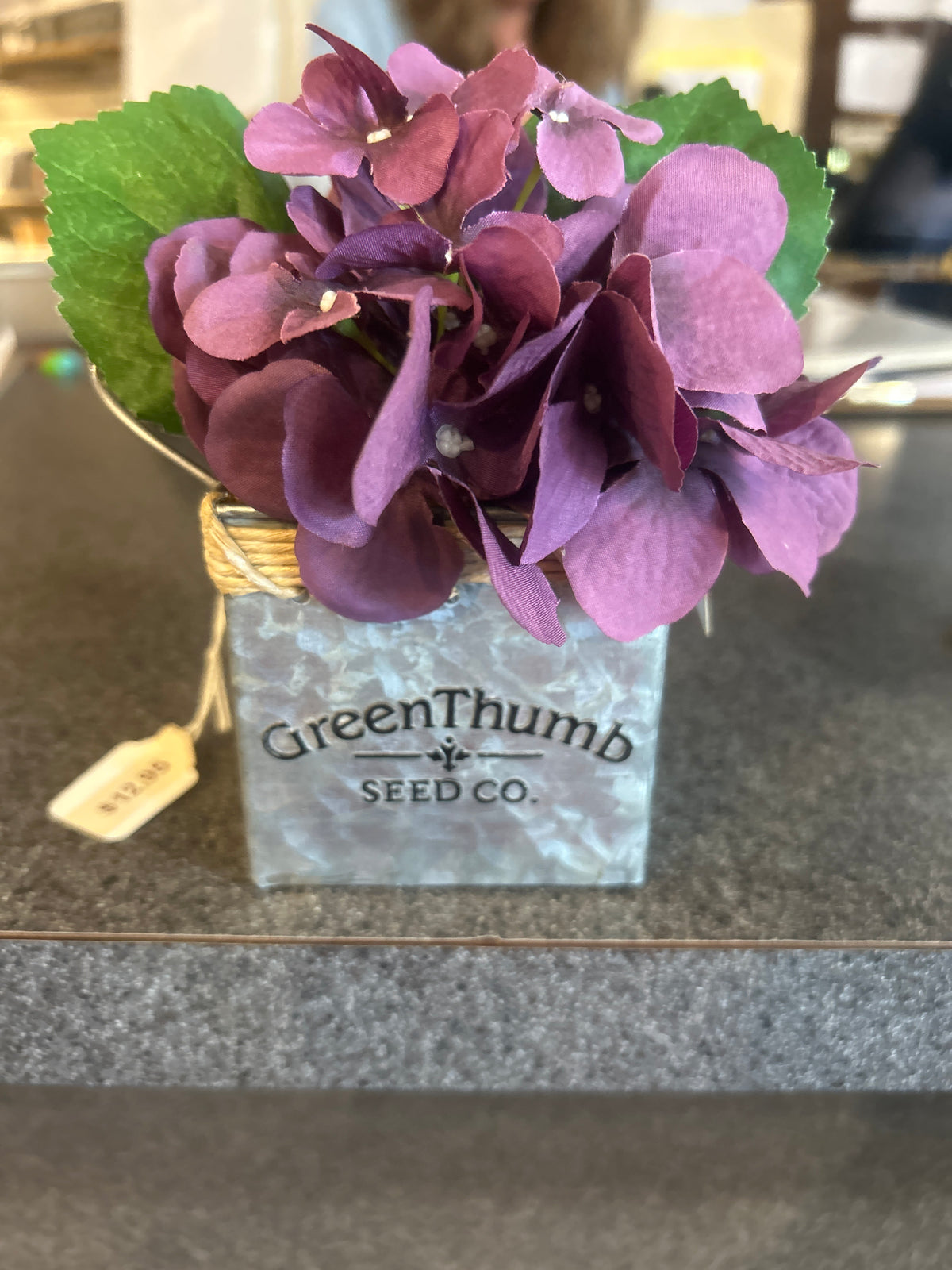 Green Thumb Purple Flowers