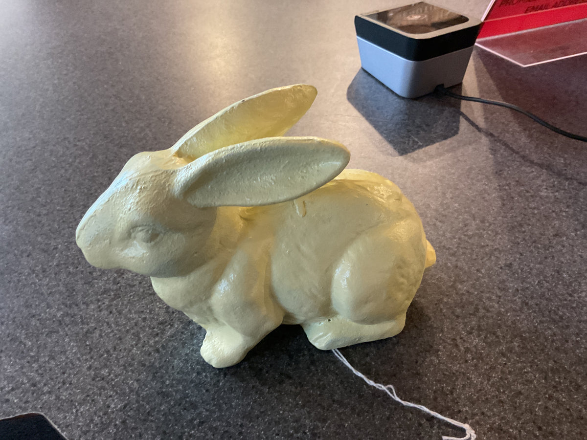 X1386 sitting bunny