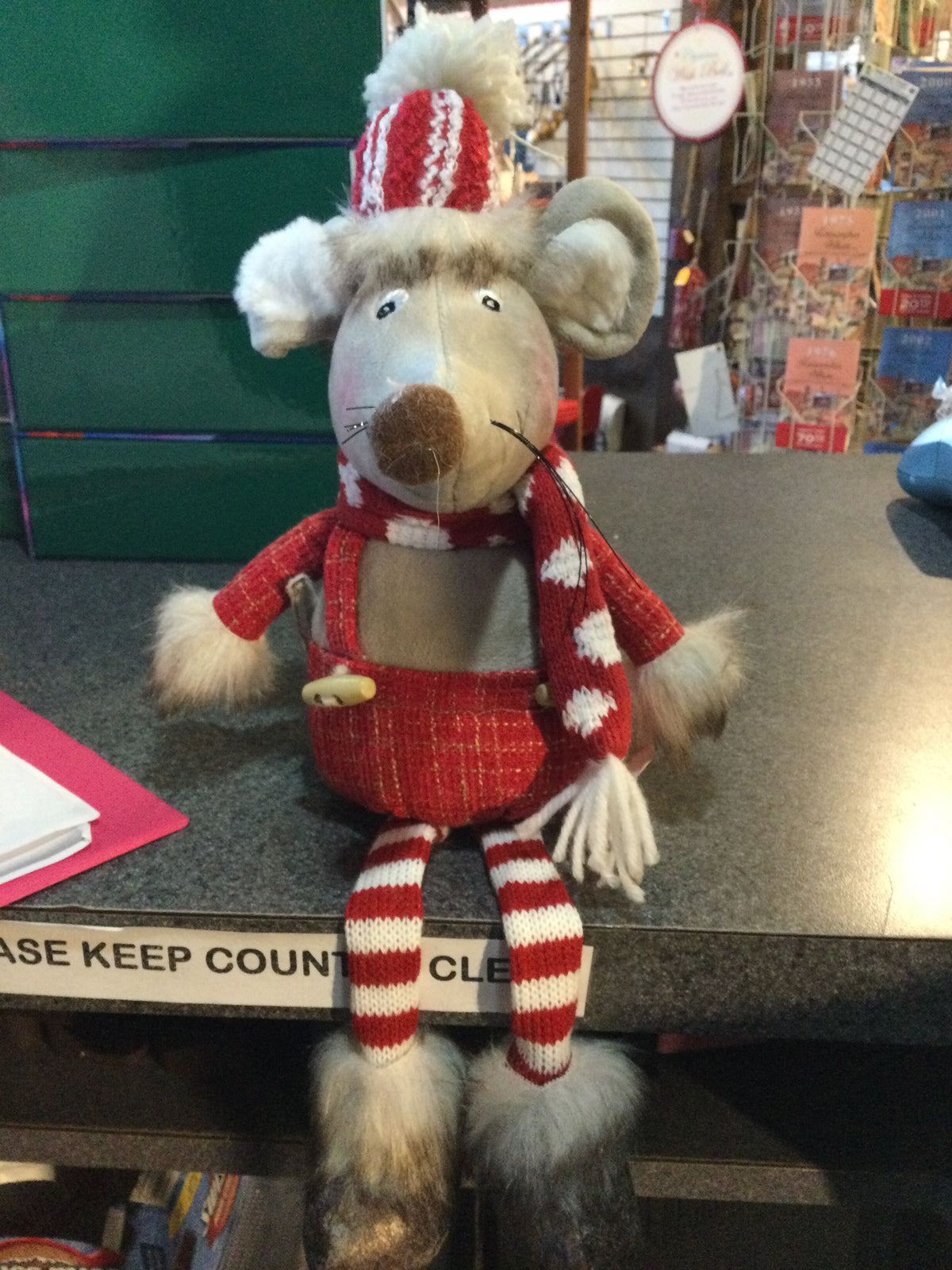 Mouse with legs