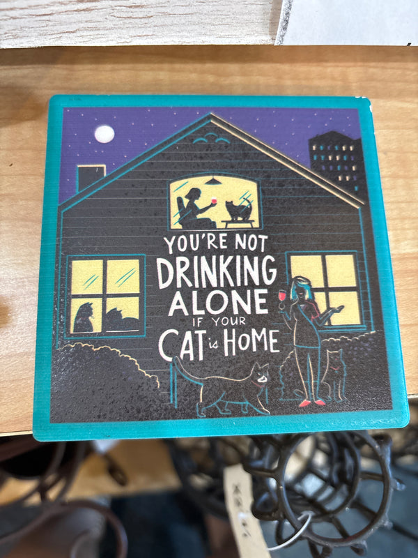 Coaster- cat is home