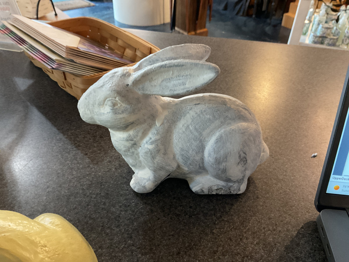 X1386 sitting bunny white