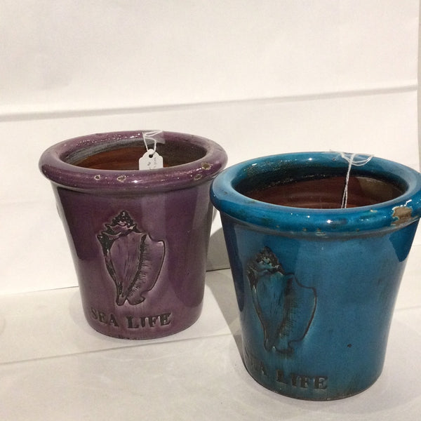 Sea Life Plant Holder