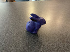 X1601 Small Rabbit