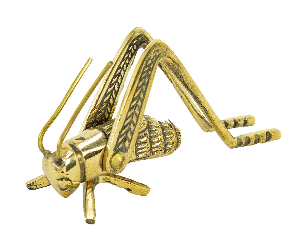 Small Cricket-Brass