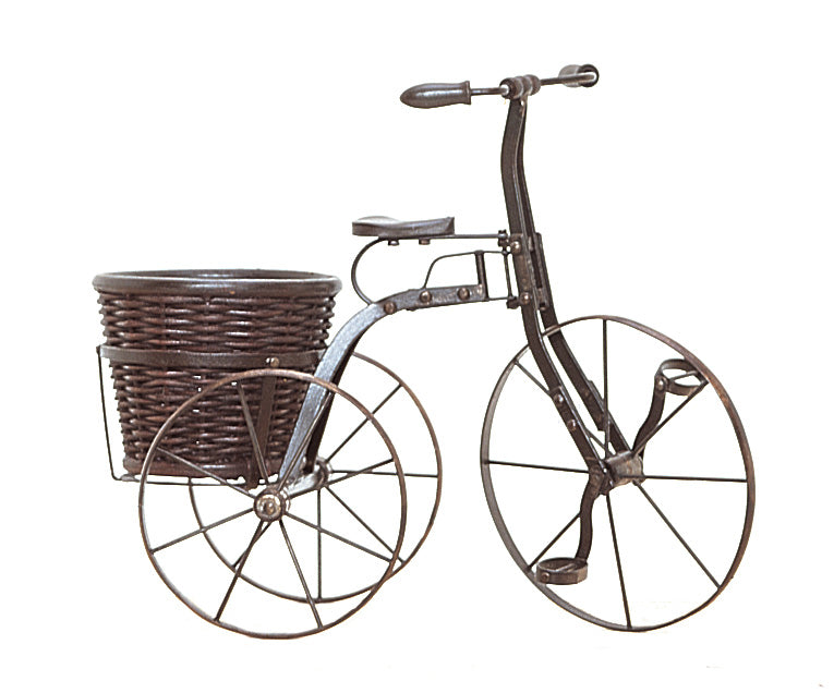 Bike w/ Basket