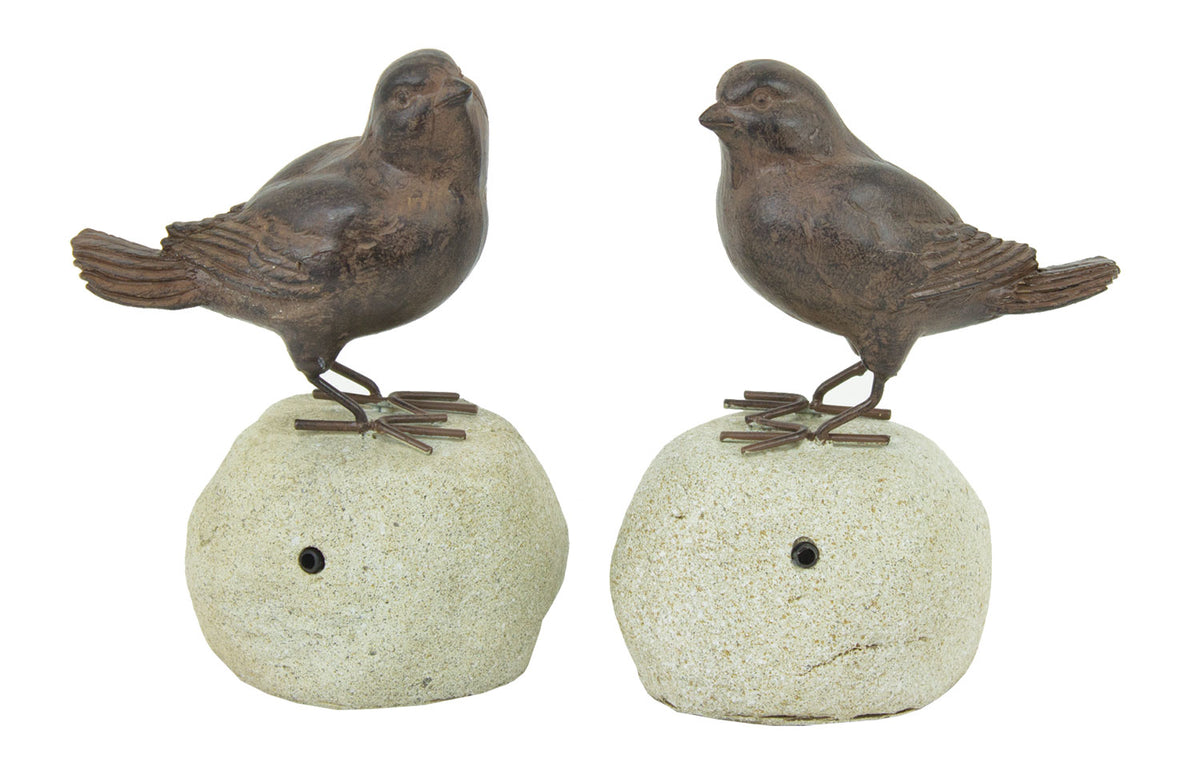 Bird On Stone