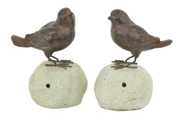 Bird On Stone