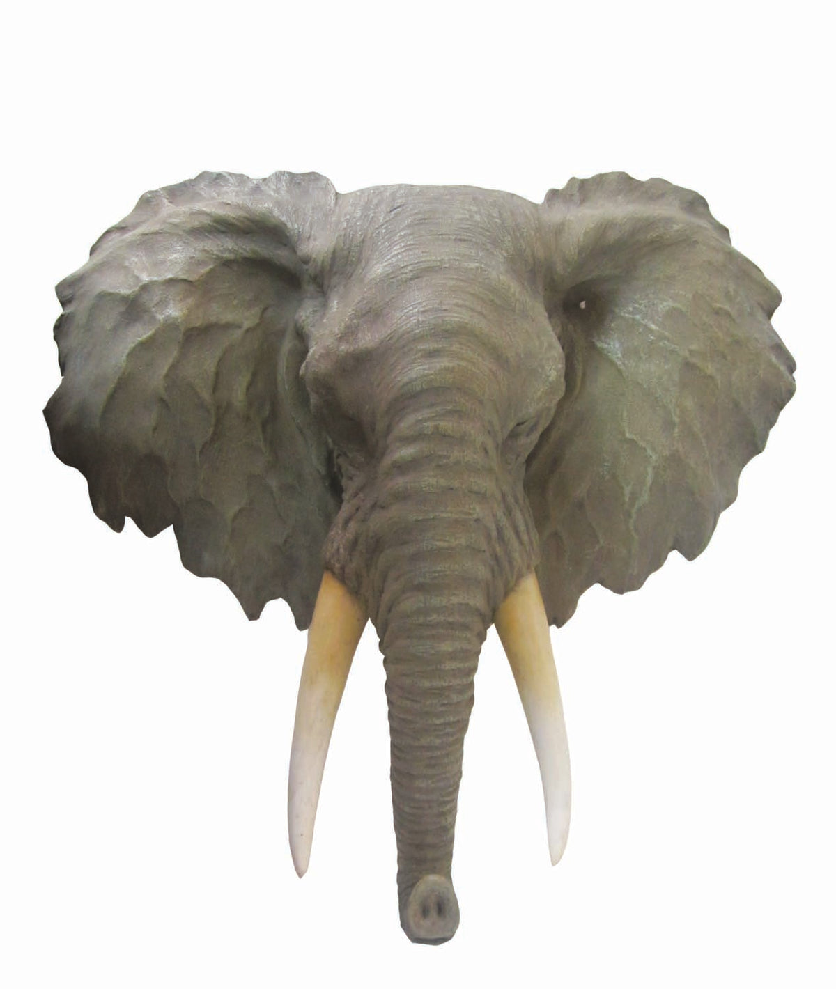 UR2019 Cabeça de Elefante