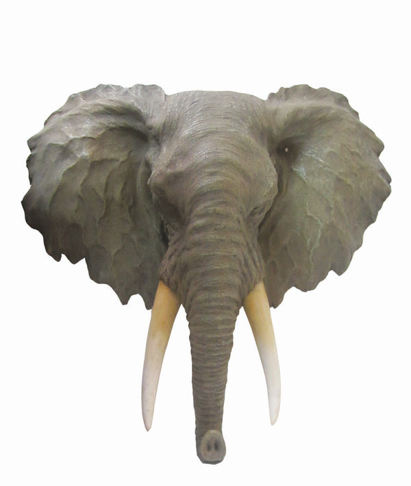 UR2019 Cabeça de Elefante