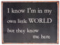 UT945 Own Little World Sign