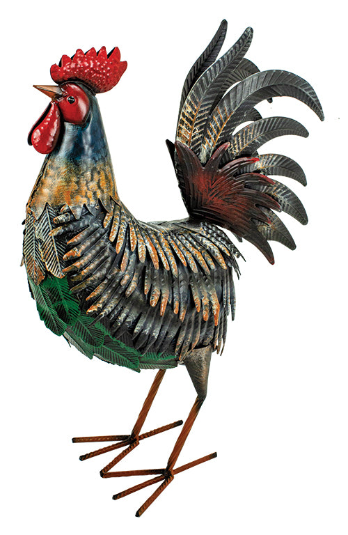 Rooster