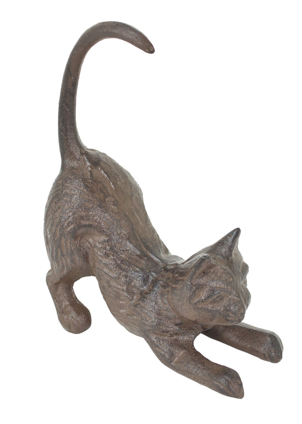 Playing Cat