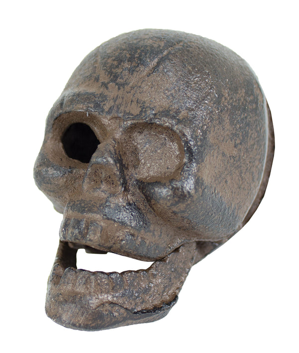 Skull Bottle Opener