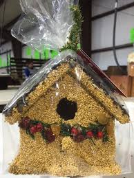 Juniper birdie cottage