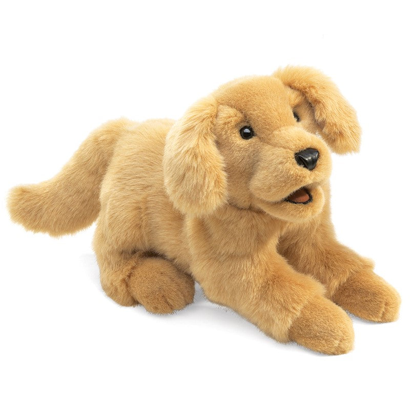 Golden retriever puppy puppet